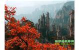 春節(jié)期間：張家界、天子山、金鞭溪自駕車精華精品游