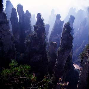 【純玩拼團線路】下午班：鳳凰古城、張家界、天子山三晚四日游