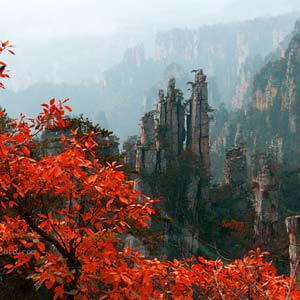 休閑自駕E線：張家界、袁家界、天子山、寶峰湖、鳳凰古城、沱江泛舟四晚五日游