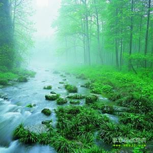 【純玩散拼尊享系列3】張家界、天子山、袁家界、黃龍洞、鳳凰三晚四日游