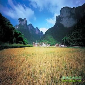 張家界往返純玩散拼：矮寨大橋、德夯苗寨、鳳凰古城、芙蓉鎮(zhèn)二日游