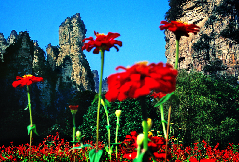 LF線：張家界國家森林公園、猛洞河漂流、鳳凰古城純玩自助五日游